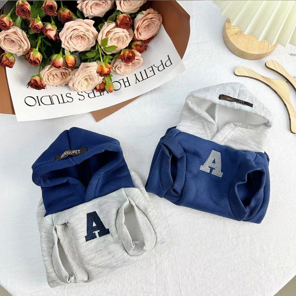 Blue slim-fitting pet sweater with reflective letters on a dog, showing casual style and close fit
