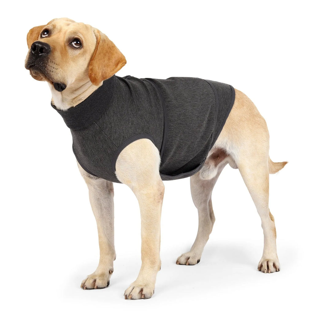 Grey pet mood soothing clothes for cats and dogs in cotton polyester, sizes XS to XXXL