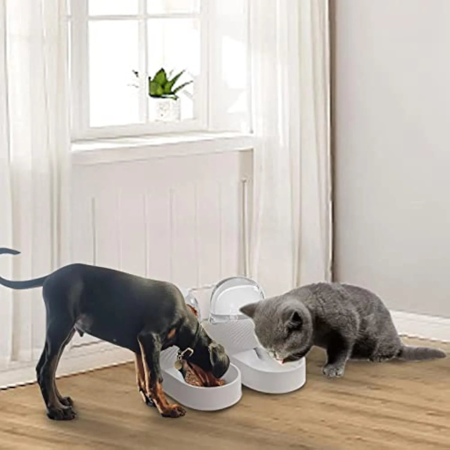 White cat feeder and water dispenser set with wave-shaped design, each unit holding 2000ml