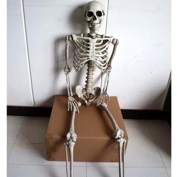 170cm white plastic skeleton model with articulated joints showing detailed anatomical bone structure