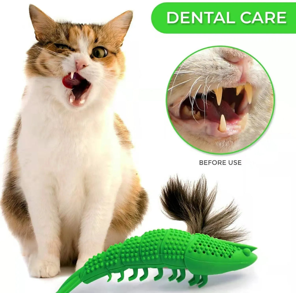 Blue hard rubber cat chew toy with textured surface for dental care during play
