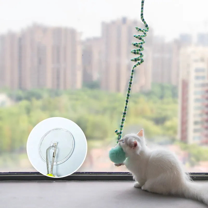 Kitten spring toy with blue inflatable ball hanging from suction cup on glass door
