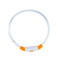 USB-rechargeable LED dog collar glowing in blue with adjustable 70cm length for pet safety