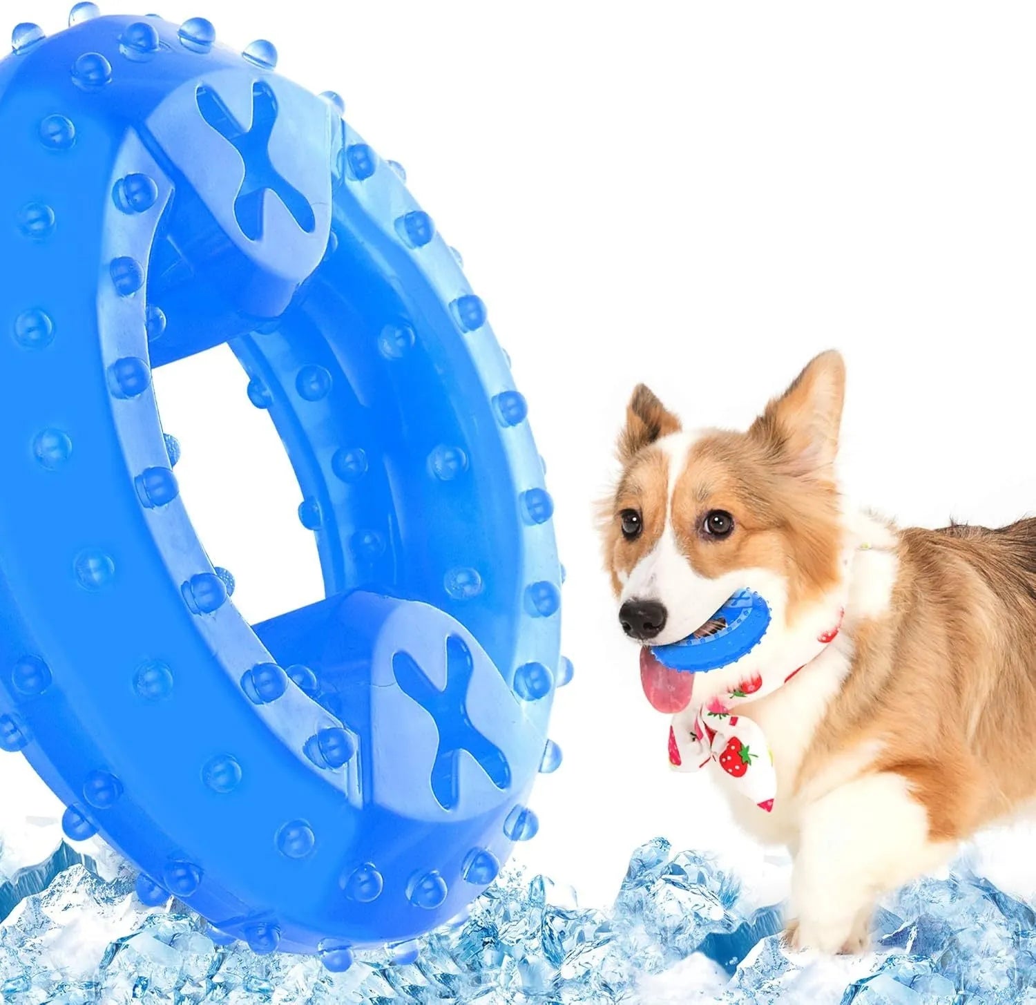 Freezable dog teething cooling chew toy with treat compartment in Bones and Circles shapes