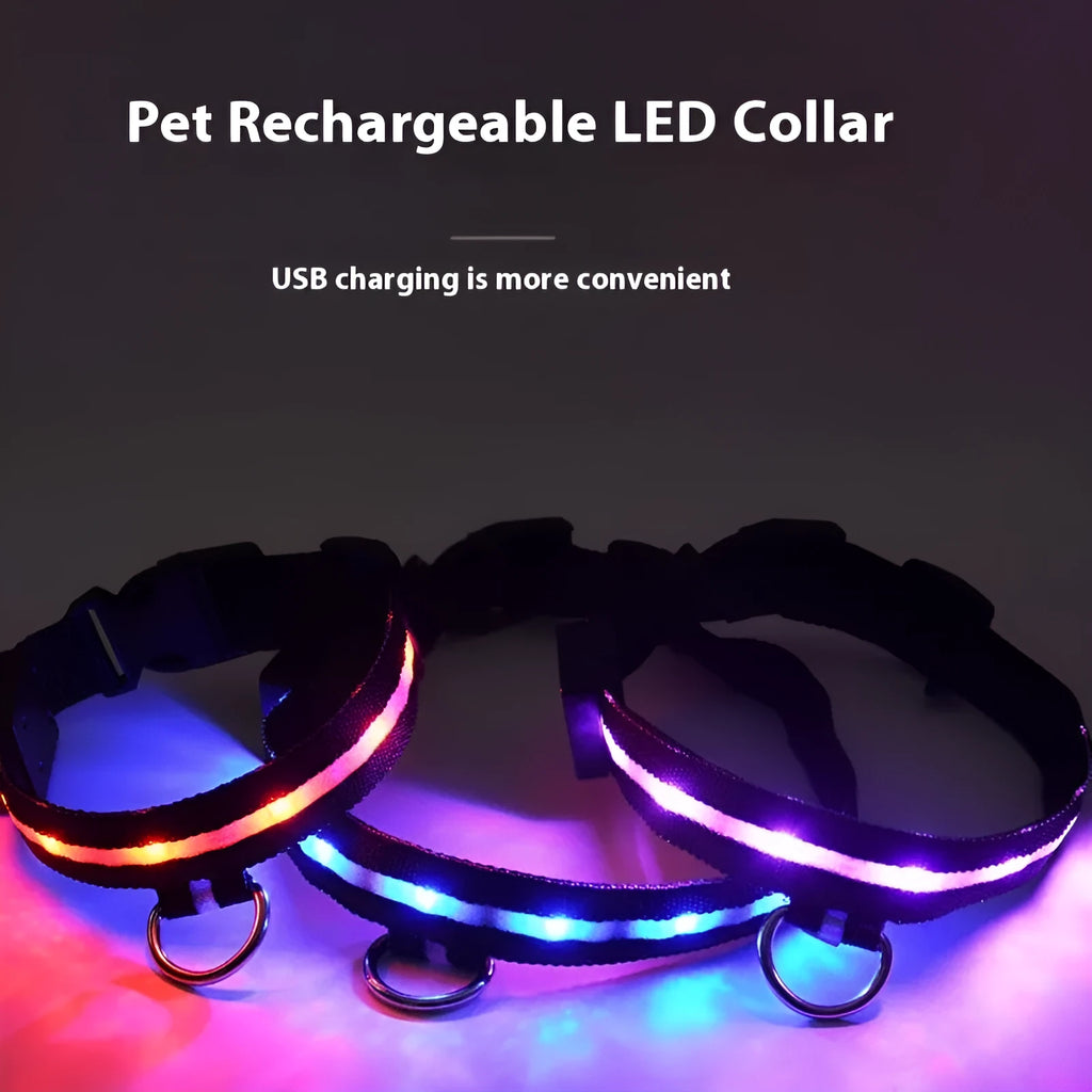 Black LED luminous dog collar with cartoon design and included rope lead for walking