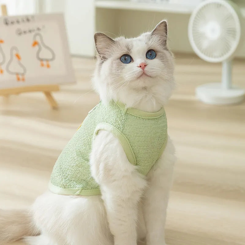 Cat wearing green knitted clothes with a bear patch, showing breathable hollowed-out fabric design.