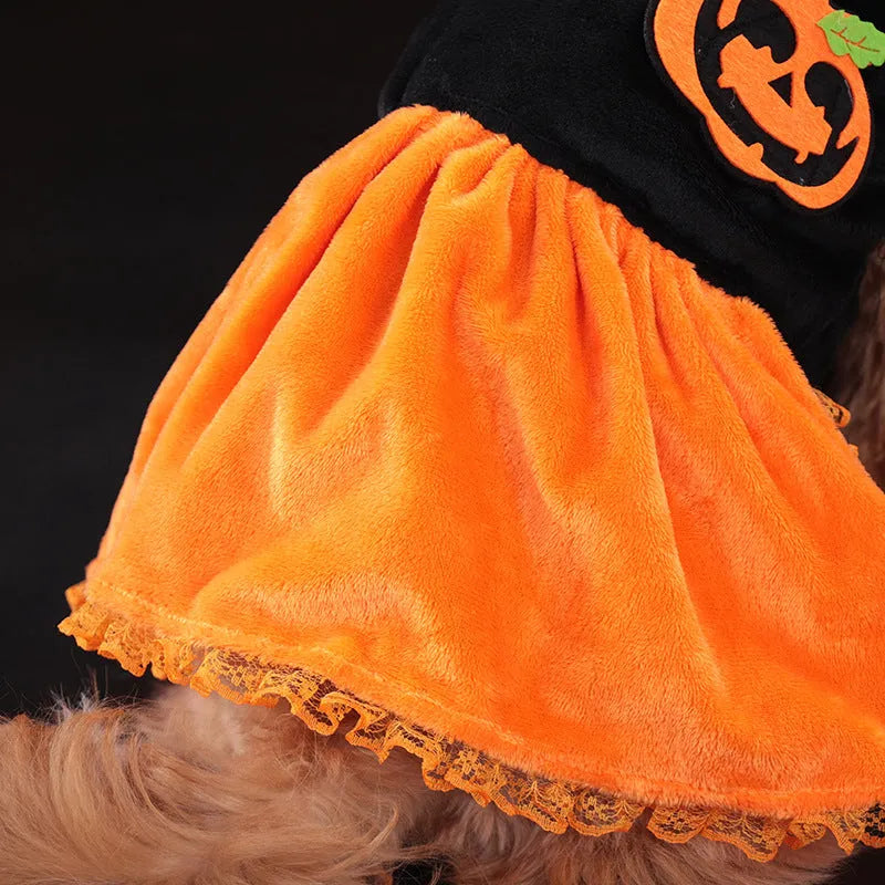 Halloween pumpkin skirt and sweater pet costumes for dogs and cats in crystal velvet material