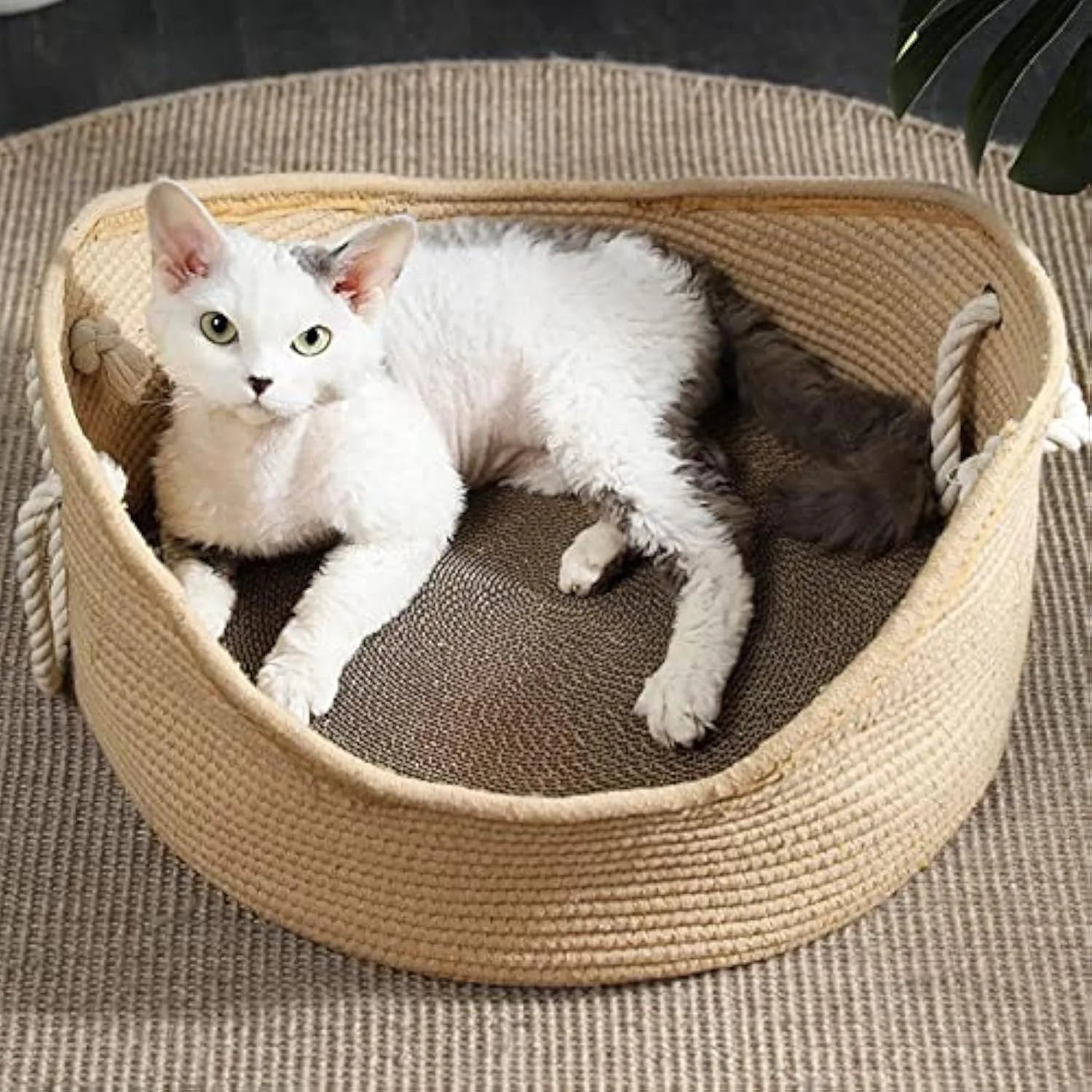 Wicker cat bed basket with corrugated scratching board, dimensions 40x40x20cm or 50x50x20cm, for feline resting and claw maintenance