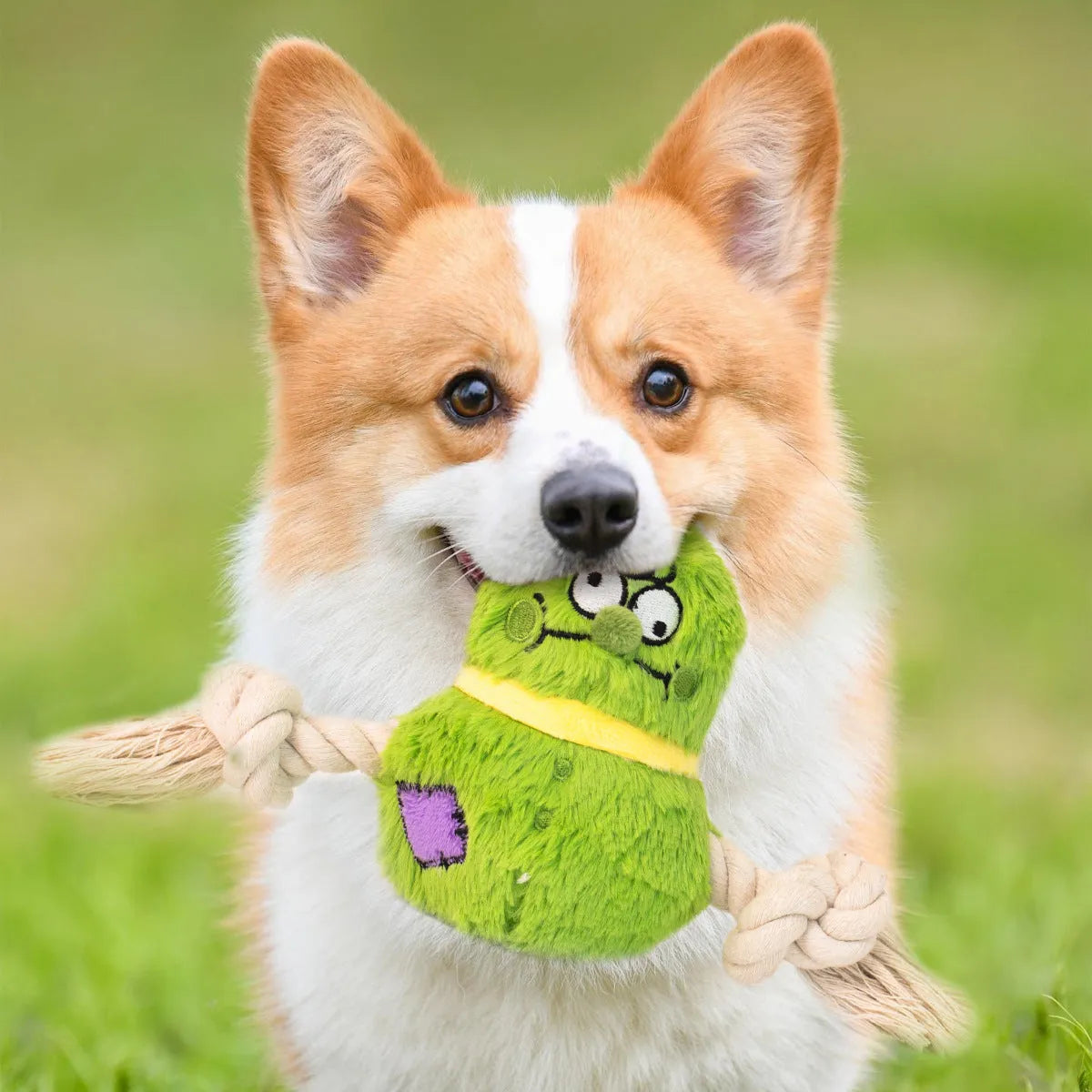Green and purple interactive dog plush rope knot tug toy with bite-resistant texture