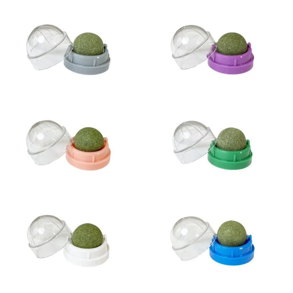 Plastic catnip ball toy in various colours for dental cleaning and bite-resistant play