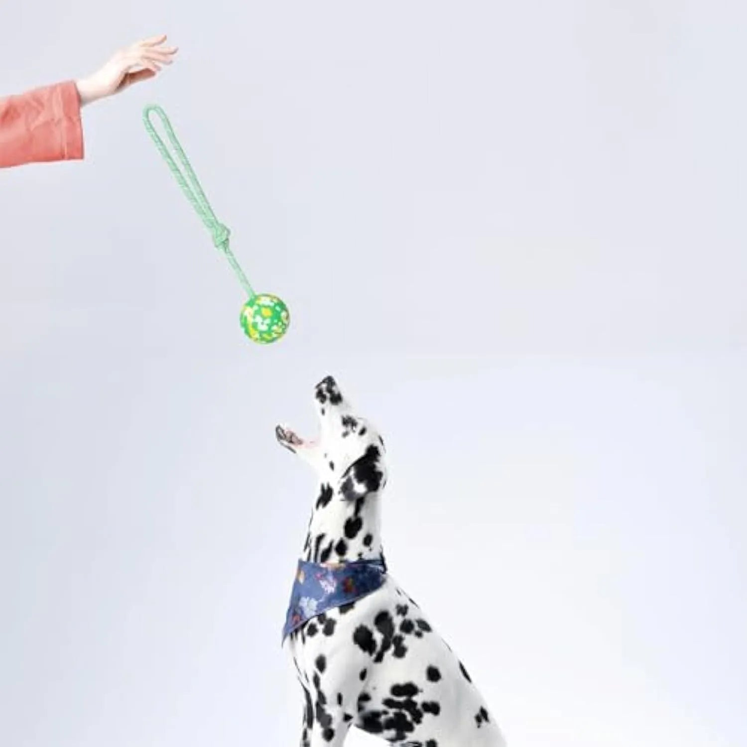 Dog ball on rope toy with 6cm rubber ball and 27cm nylon rope for interactive play