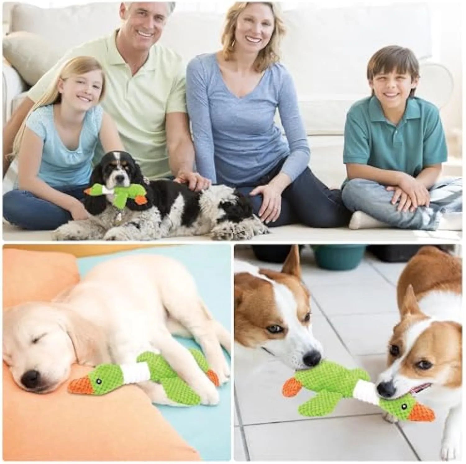 Blue duck-shaped dog plush toy with two squeakers, measuring 33 cm in length, for chewing and play