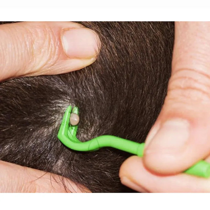 Three plastic tick removal hooks in blue and green colours for pet grooming, shown with size scale.