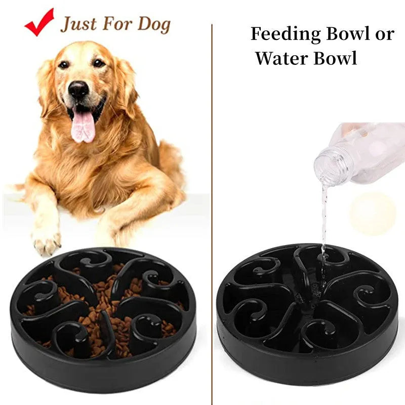 Dog slow feeder bowl with maze pattern design in multiple colour options