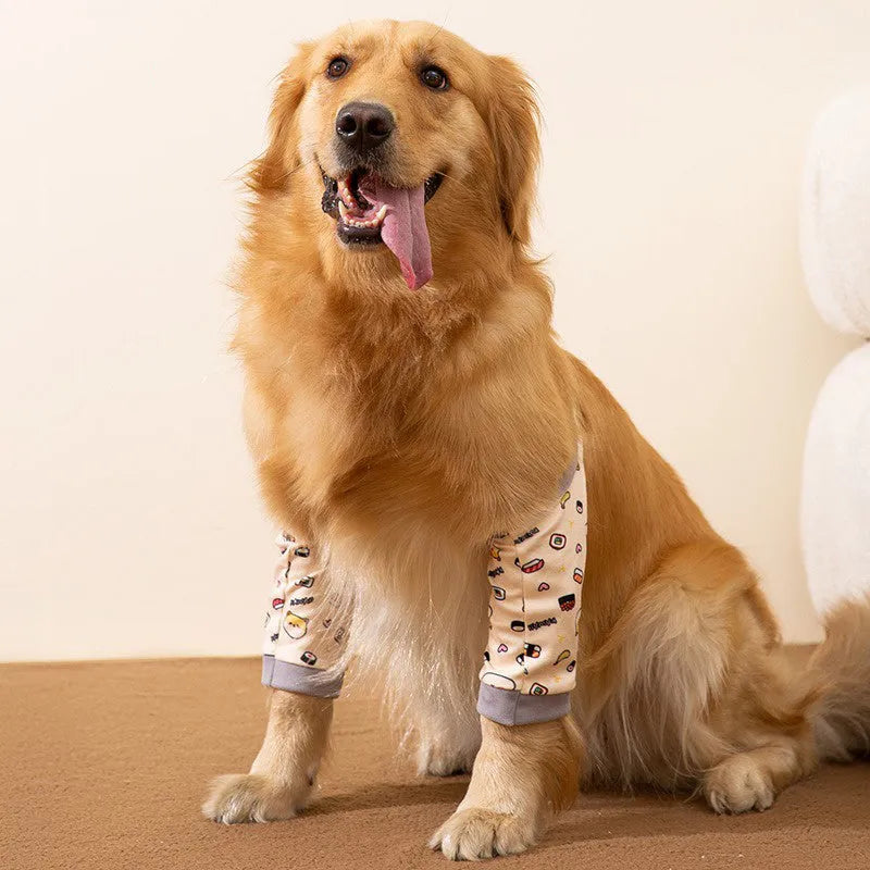 Blue dog knee protector with adjustable buckle and matching scarf on medium-sized dog