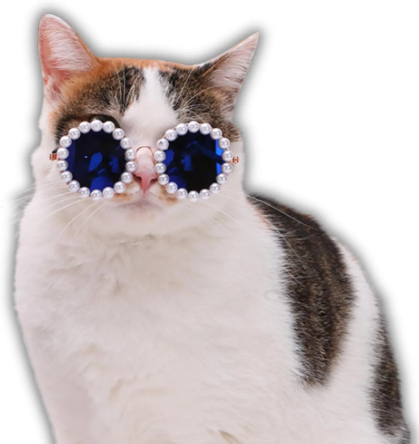 Pearl-rimmed round sunglasses for cats and dogs in black, blue, coffee, orange, and purple.