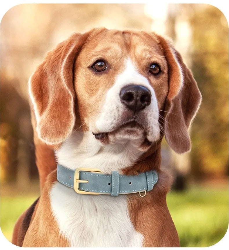 Double-layer leather dog collar with mohair lining in rose red, adjustable for dogs 7-65 pounds with matching lead.