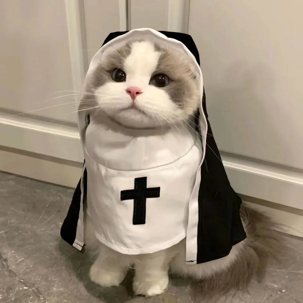 Black and white nun costume cloak on a small dog for Halloween.