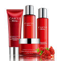 Pomegranate skin care set with 120ml face wash, 150ml toner, 100ml lotion, and 50ml facial cream in red packaging