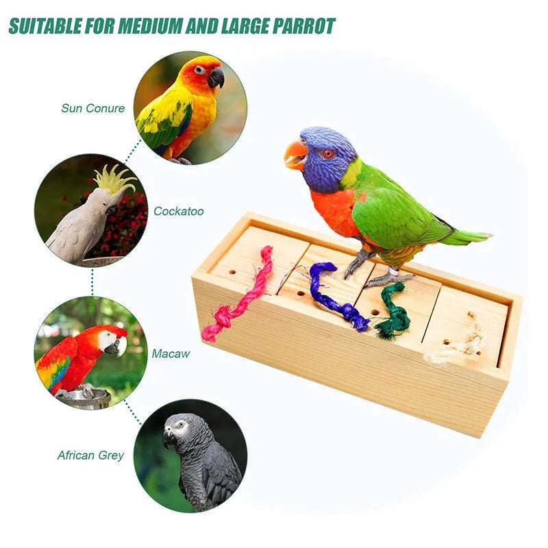 Wooden parrot puzzle training toy set for bird mental stimulation and foraging.