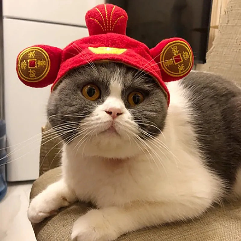 Sunflower embroidered cloth hat for cats on a white background.