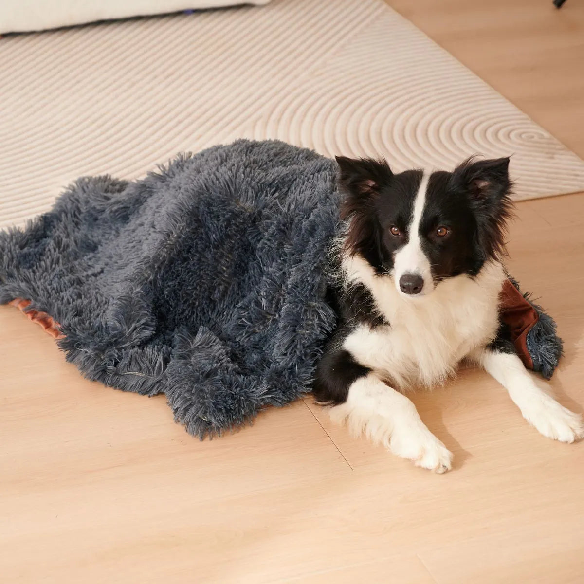 Light grey velvet pet blanket folded on a sofa next to a sleeping dog.