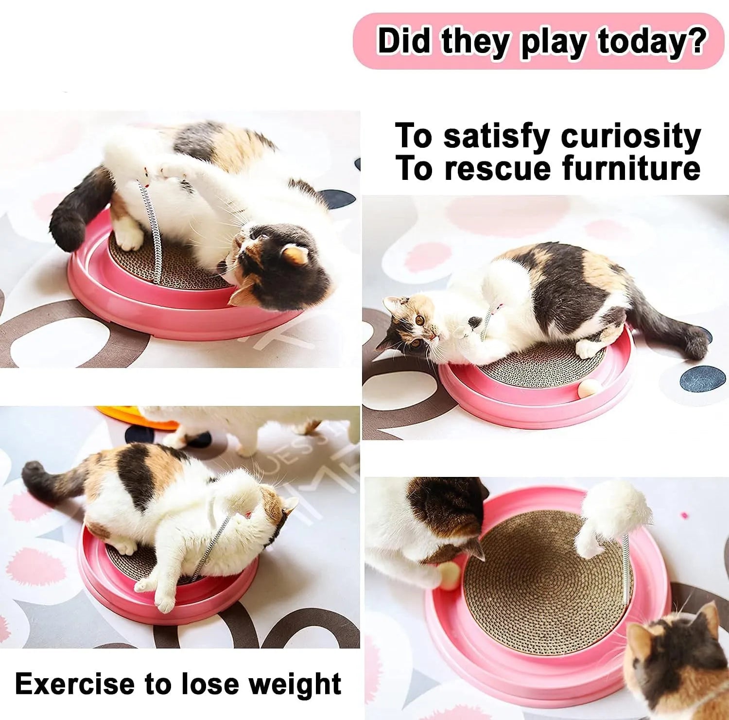 Blue cat scratcher with circular base, corrugated cardboard pad, and ball in track for interactive play