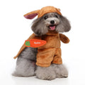 European American style polyester pet clothing in sizes S M L XL with raccoon panda cowboy designs