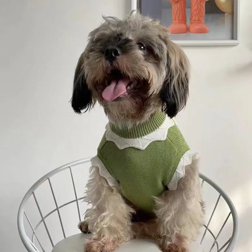 Green floral knitted dog sweater on a small dog, showing size chart for XS, S, M, L, XL.