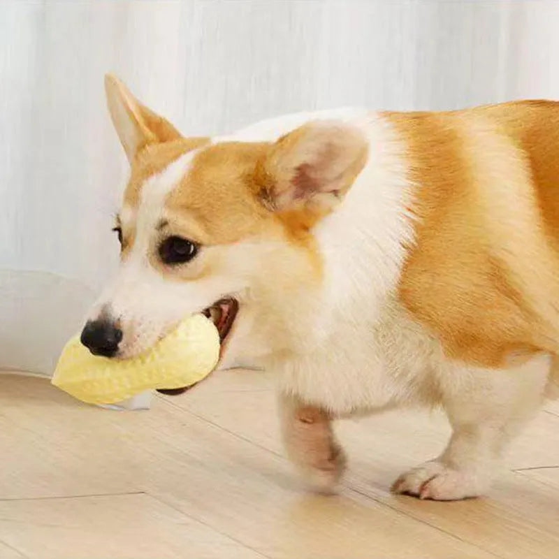 Yellow TPR peanut-shaped dog chew toy with textured surface and squeaker function