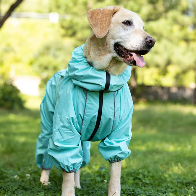 Dog wearing cotton-padded polyester jacket in sporty style available in four colours