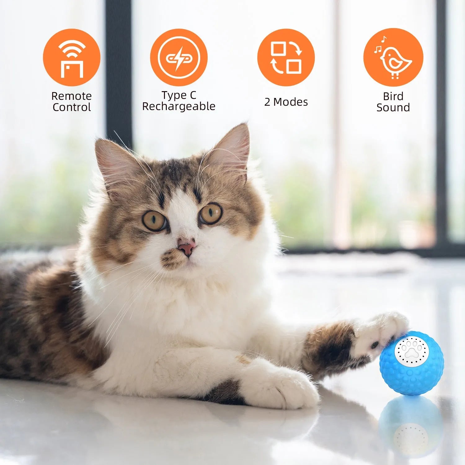 Remote-controlled cat toy ball measuring 8cm diameter with blue colour option and separate remote control unit