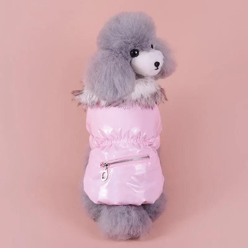 Blue cotton down jacket for puppy with British style design for autumn and winter wear