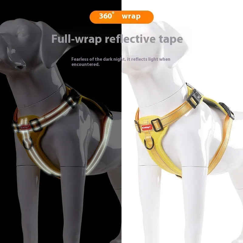 Adjustable dog harness in lake blue with reflective stitching and quick-release buckles, shown on a medium-sized dog.