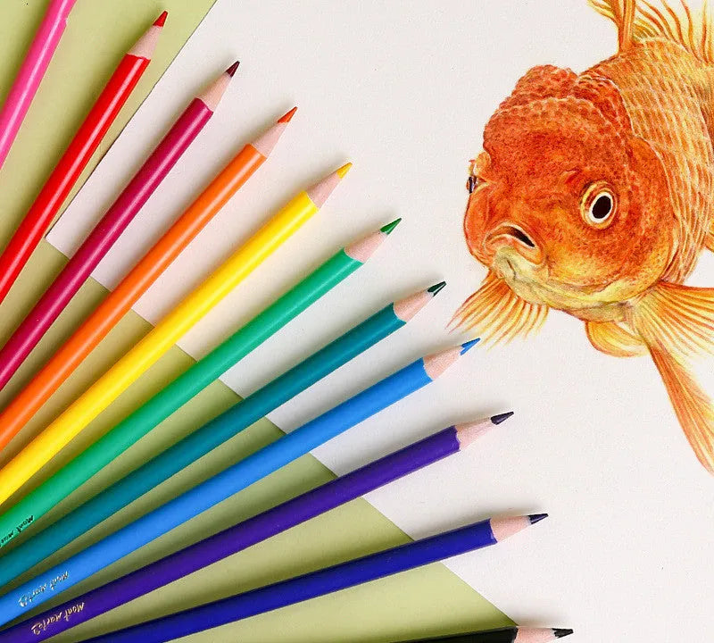 24 colour wooden pencil set with cartoon packaging showing various coloured pencils