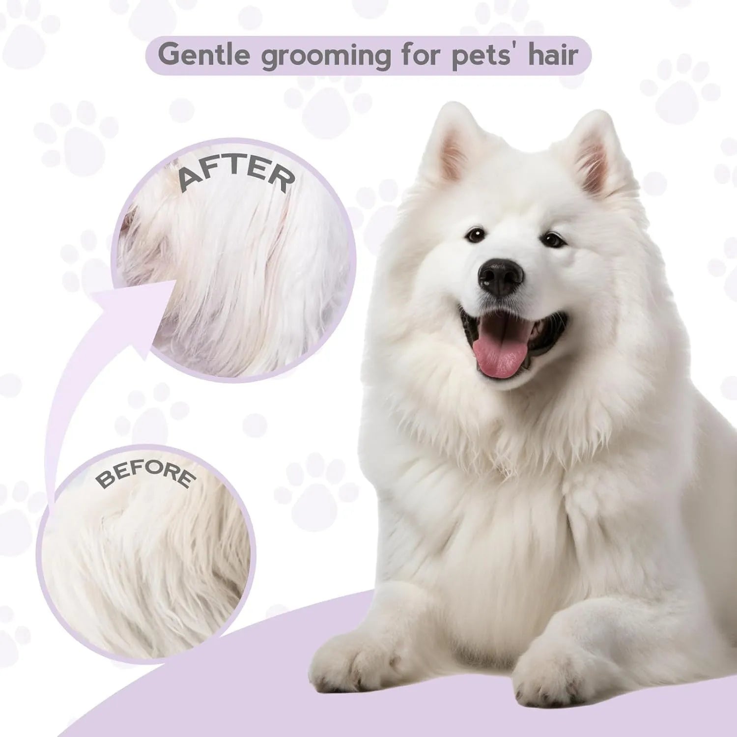 Purple detangling pet comb with stainless steel teeth for grooming dogs and cats, showing ergonomic handle