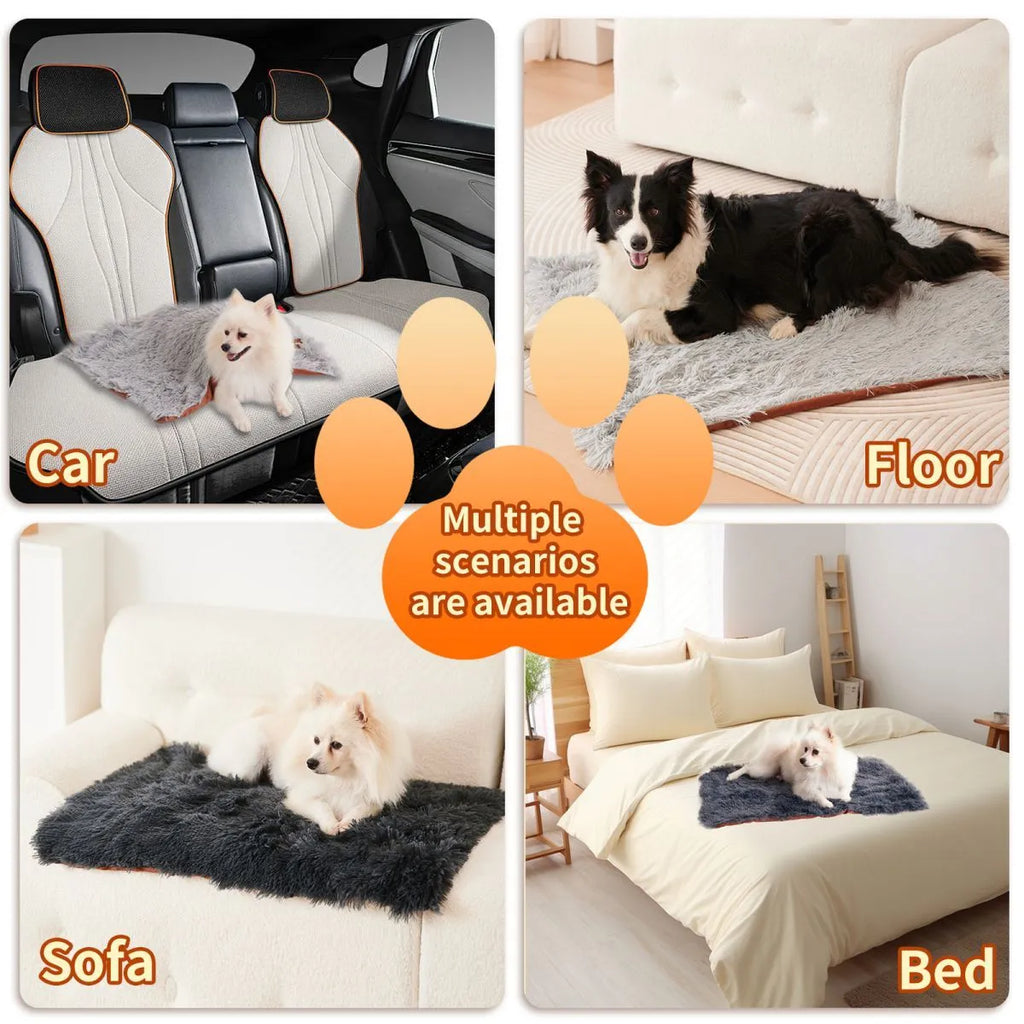 Light grey velvet pet blanket folded on a sofa next to a sleeping dog.