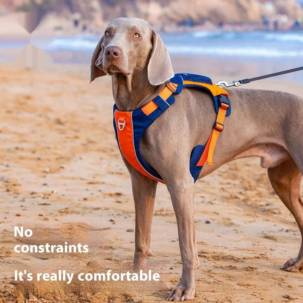 Nylon dog chest strap vest harness in orange-blue colour with adjustable rope design