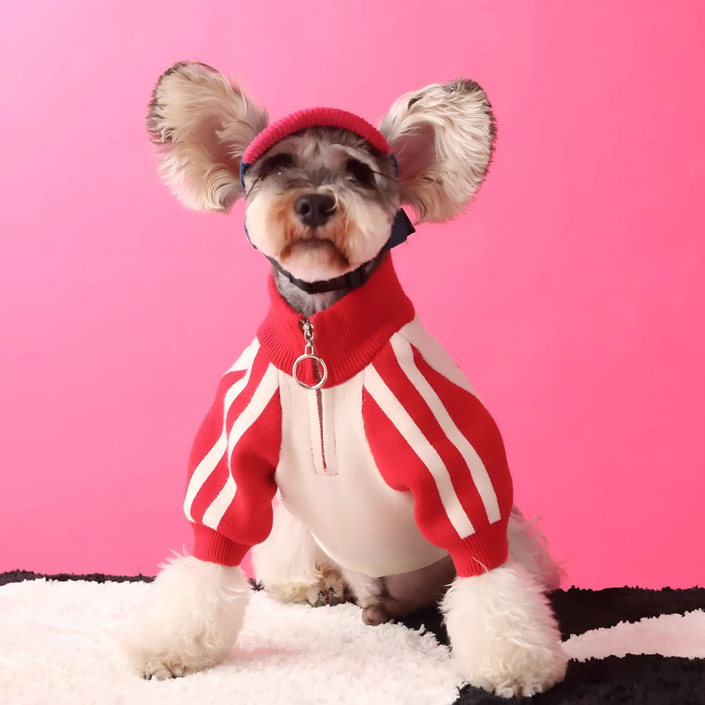 Red wool sports cardigan for puppy dog on size mannequin showing casual knit style