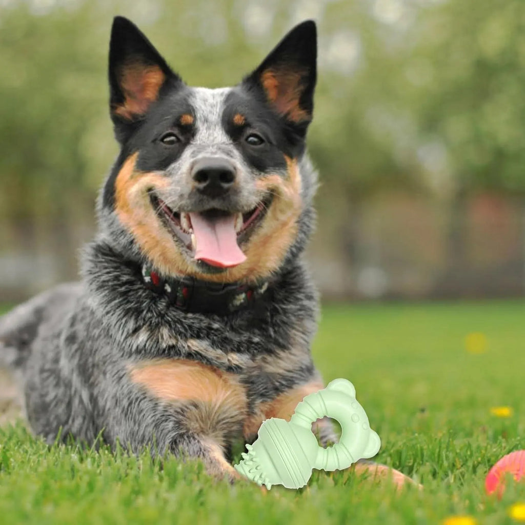 Blue rubber dog chew toy with concave-convex texture for teeth cleaning, measuring 13.5cm