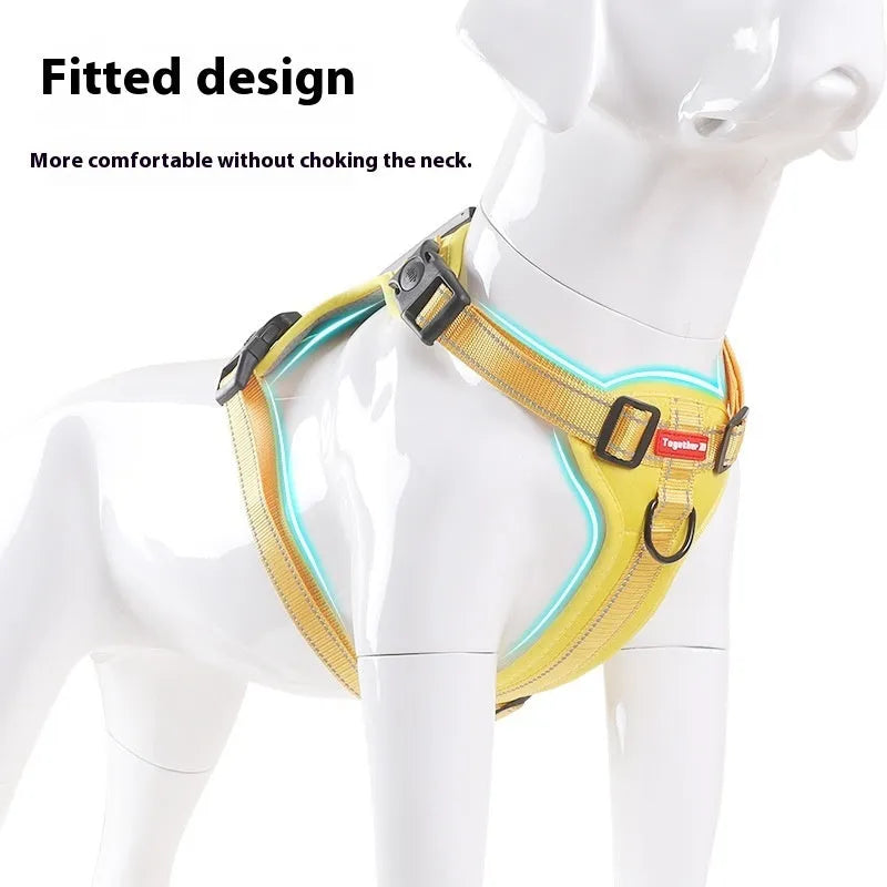 Adjustable dog harness in lake blue with reflective stitching and quick-release buckles, shown on a medium-sized dog.