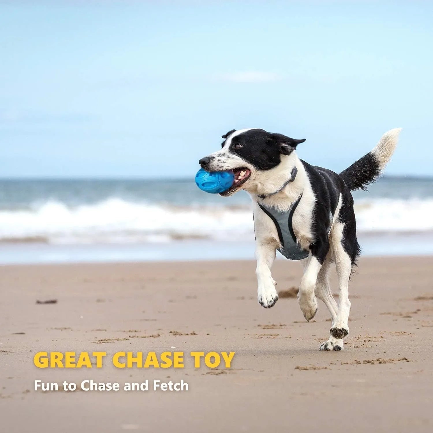 Blue green orange natural rubber squeaky dog chew ball with surface grooves for medium large breed dogs