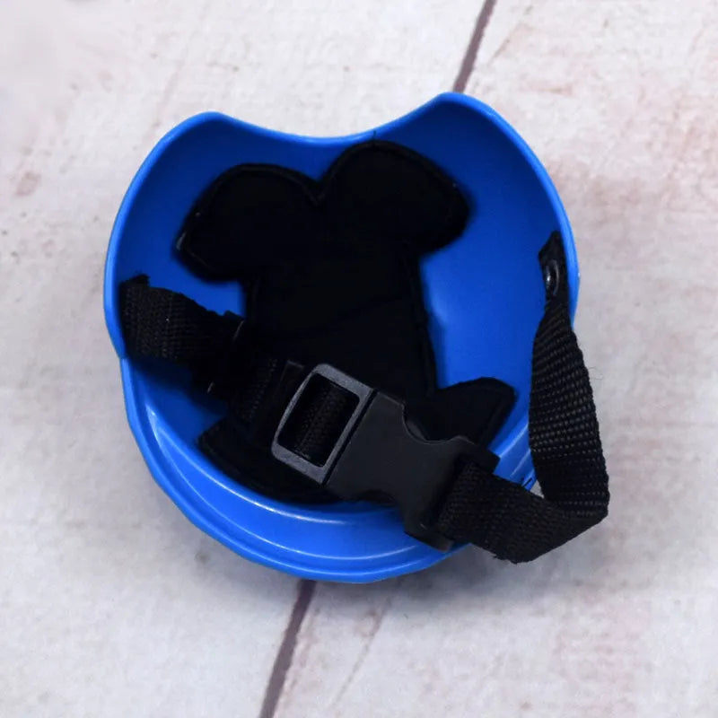Small dog wearing a solid colour plastic motorcycle-style cap in a Japanese or Korean pet fashion style.