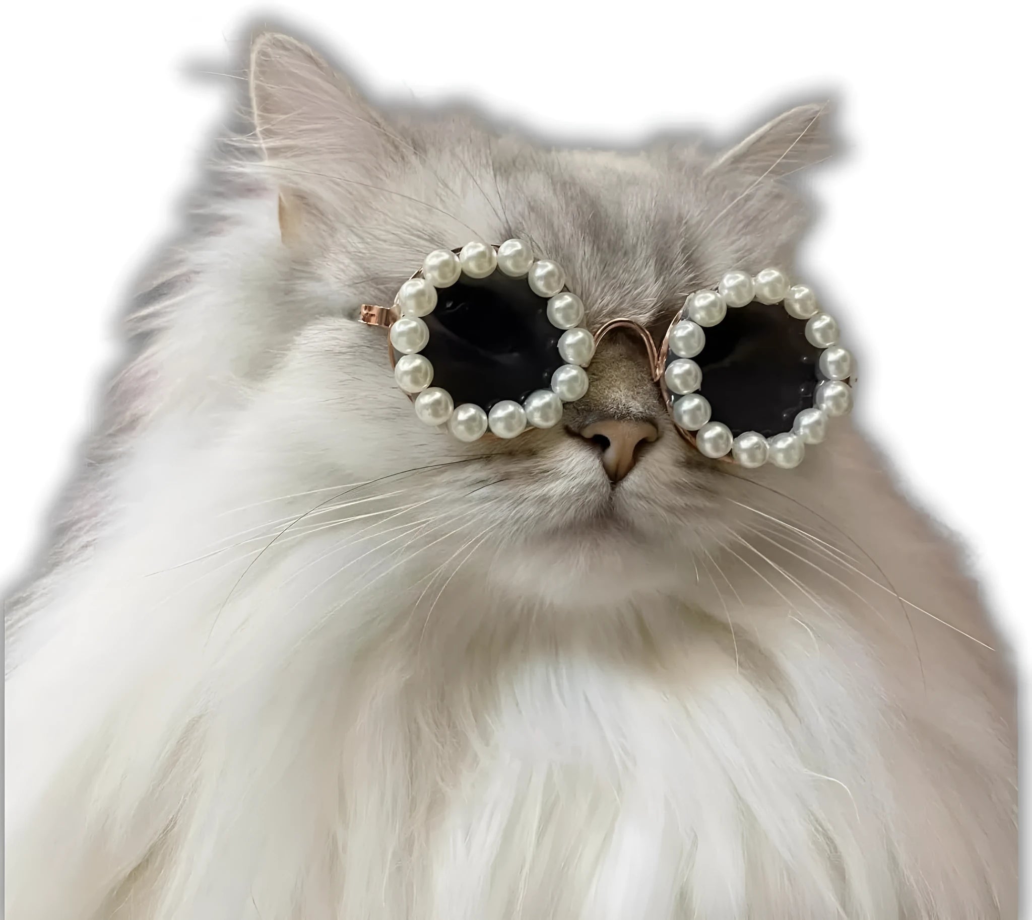Pearl-rimmed round sunglasses for cats and dogs in black, blue, coffee, orange, and purple.