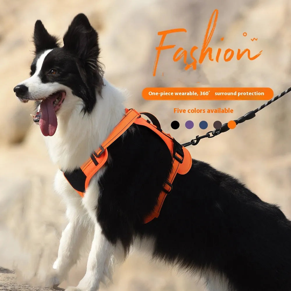 Adjustable dog harness with reflective strips and padded chest strap in multiple colours