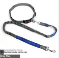 Grey and green nylon dog leash with elastic and reflective strips, shown with a 2.5cm width measurement.
