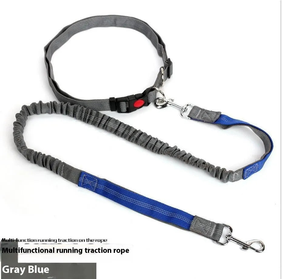 Grey and green nylon dog leash with elastic and reflective strips, shown with a 2.5cm width measurement.