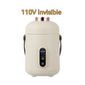 110V-240V electric stew cooker with transparent glass liner and fibre glass body, showing under 1-litre capacity