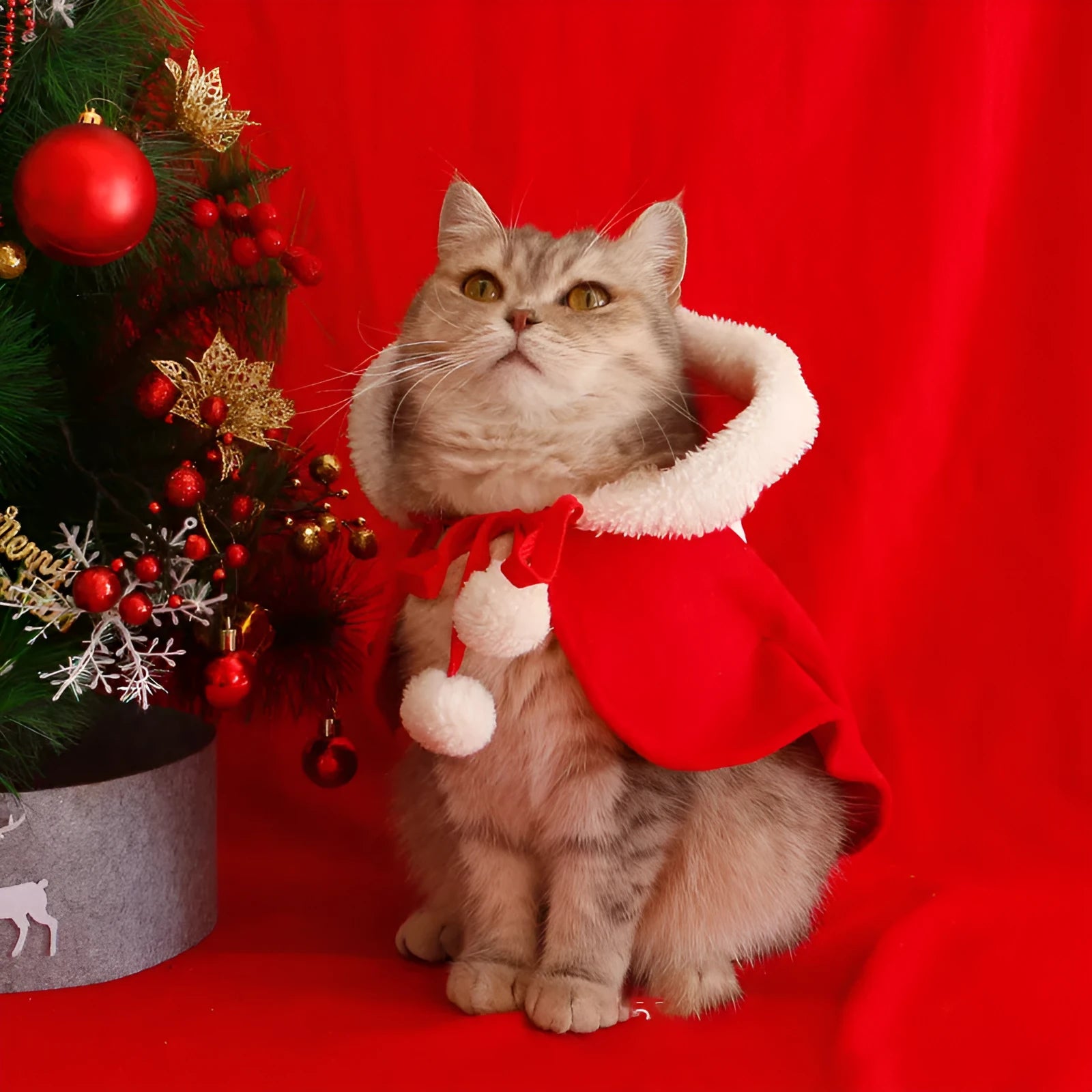 Christmas pet cloak with hood and polar fleece material in festive colours for dogs and cats