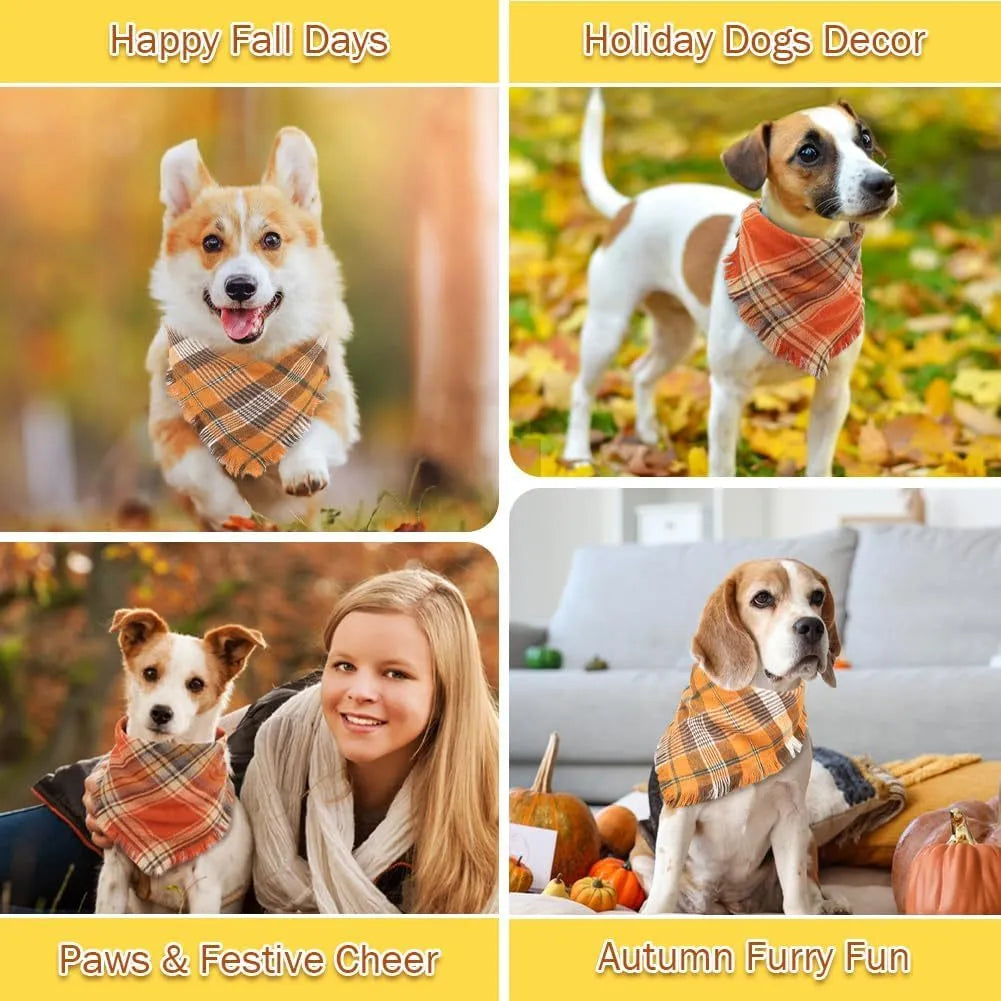 Plaid triangle dog bandana with tassel edges in autumn colours on a dog's neck.